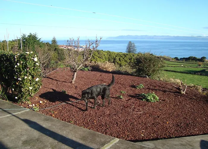 Apartment Casa Do Canto # Pico *